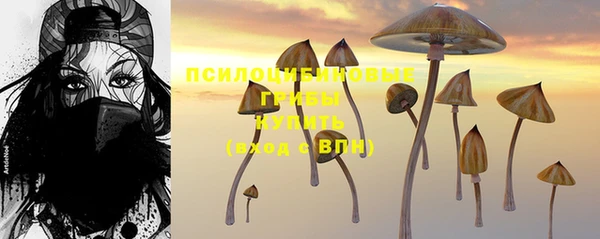 mdpv Алексин