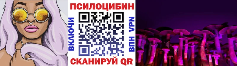 shop как зайти Кинель Галлюциногенные грибы GOLDEN TEACHER